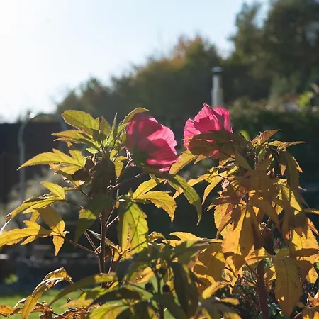 Horská chata W Gorach - Prywatne Jacuzzi, Sauna, Grota Solna - Panorama Chelm Ski&spa Myślenice