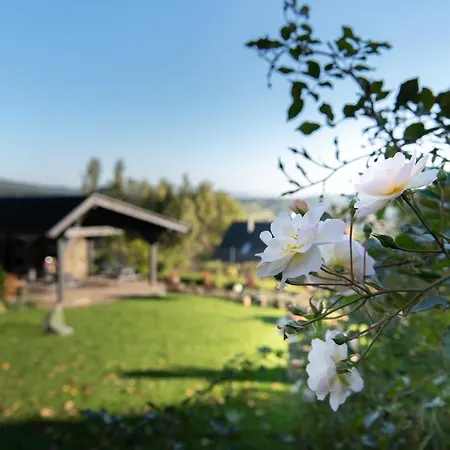 Chalet W Gorach - Prywatne Jacuzzi, Sauna, Grota Solna - Panorama Chelm Ski&spa