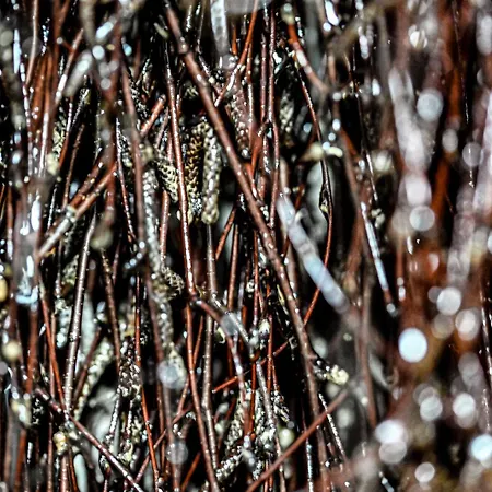 W Gorach - Prywatne Jacuzzi, Sauna, Grota Solna - Panorama Chelm Ski&spa Horská chata Myślenice