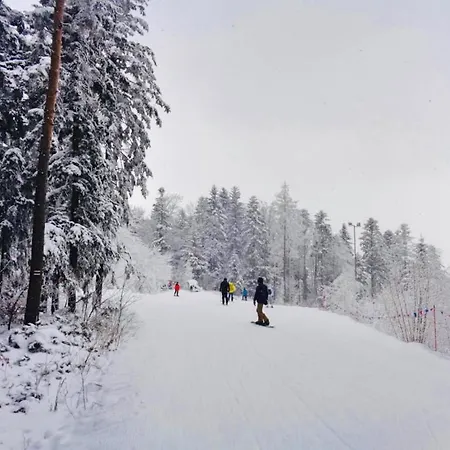 W Gorach - Prywatne Jacuzzi, Sauna, Grota Solna - Panorama Chelm Ski&spa בקתה מישלניצה