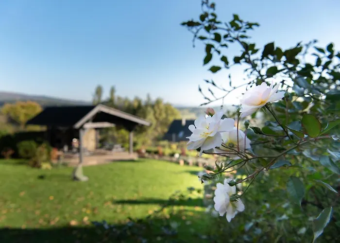 Chalet W Gorach - Prywatne Jacuzzi, Sauna, Grota Solna - Panorama Chelm Ski&spa