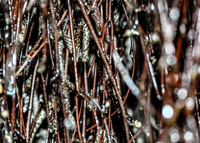 W Gorach - Prywatne Jacuzzi, Sauna, Grota Solna - Panorama Chelm Ski&spa Chalet Myslenice