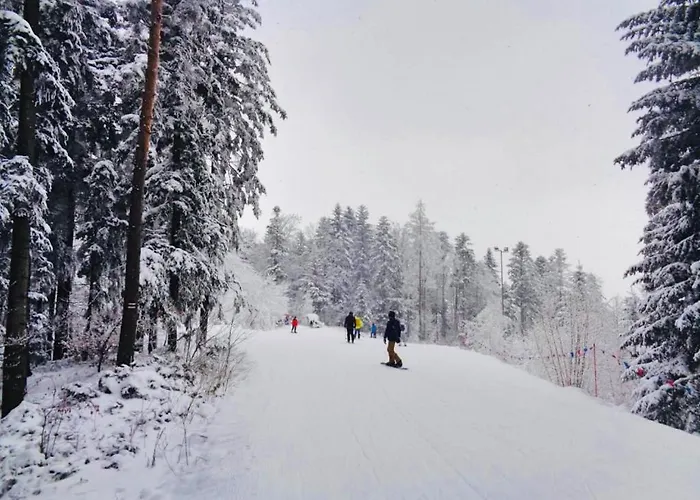 W Gorach - Prywatne Jacuzzi, Sauna, Grota Solna - Panorama Chelm Ski&spa בקתה מישלניצה